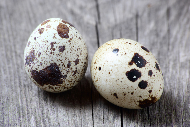 「うずらの卵だけ悪者じゃない」給食使用控えによる生産者の難局