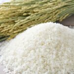 コメ不足時代の選択肢：パンではなく麺を選ぶ理由