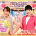 『アッコにおまかせ！』が終了する理由とは？若者がの和田アキ子離れ