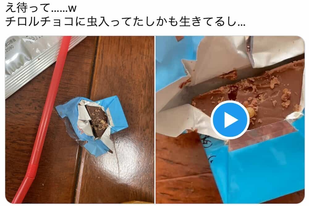 チロルチョコ「虫混入」騒動で販売元が声明発表「誤認や保管状況の影響か」